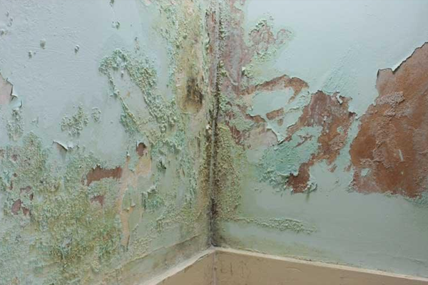 Incremental Damp Approach