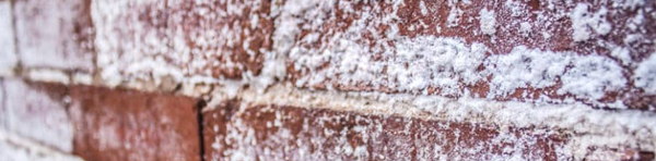 Types of salt in your property